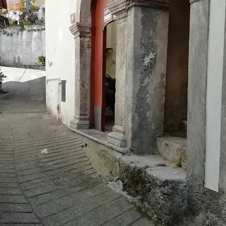Za Rosa